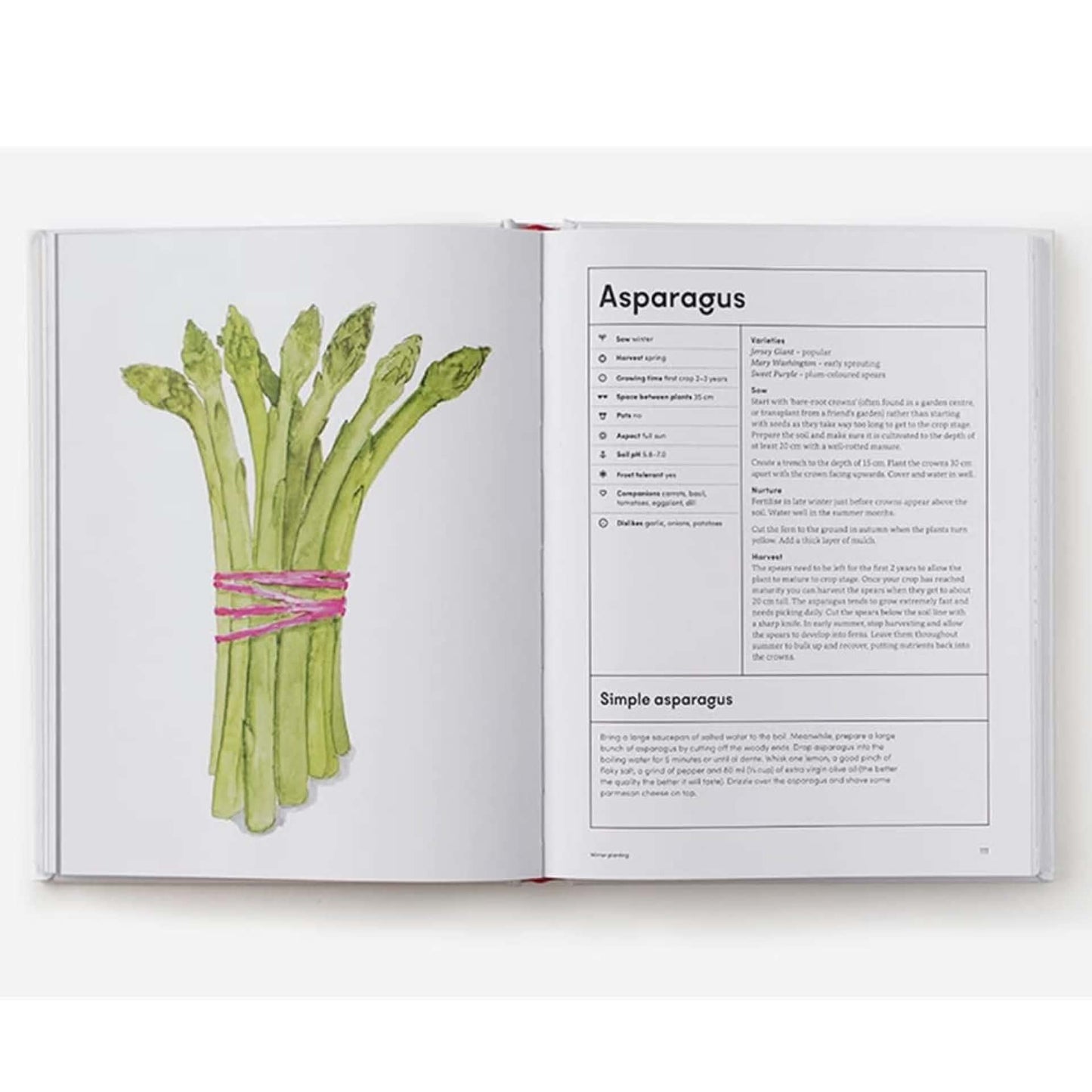 BOOKS & CO - THE KITCHEN GARDEN - Lucy Mora