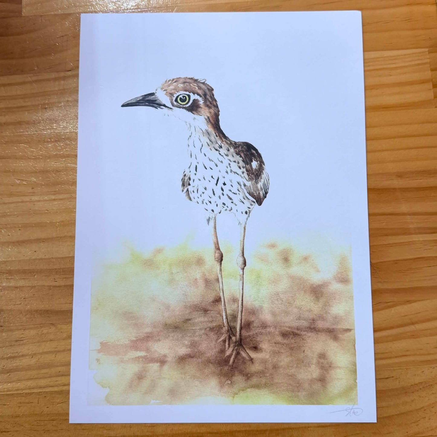 Shanna Trees Creations- Curlew A4 Print