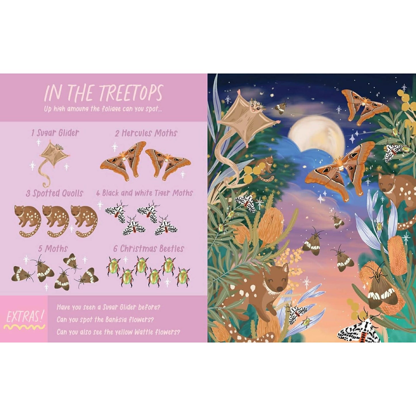 BOOKS & CO - NOCTURNAL ANIMALS: SEARCH AND FIND- Christie Williams