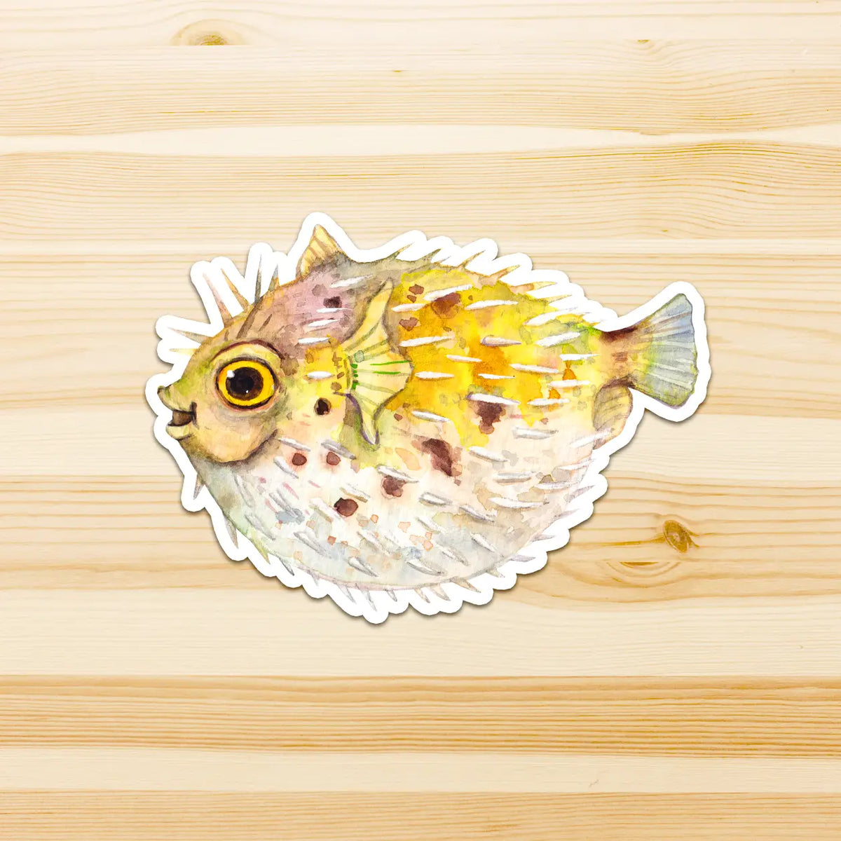 WATERCOLOURS BY CAT- Puffer Fish - Large Australian Marine Life Vinyl Stickers