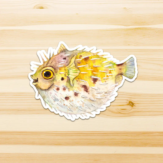 WATERCOLOURS BY CAT- Puffer Fish - Large Australian Marine Life Vinyl Stickers