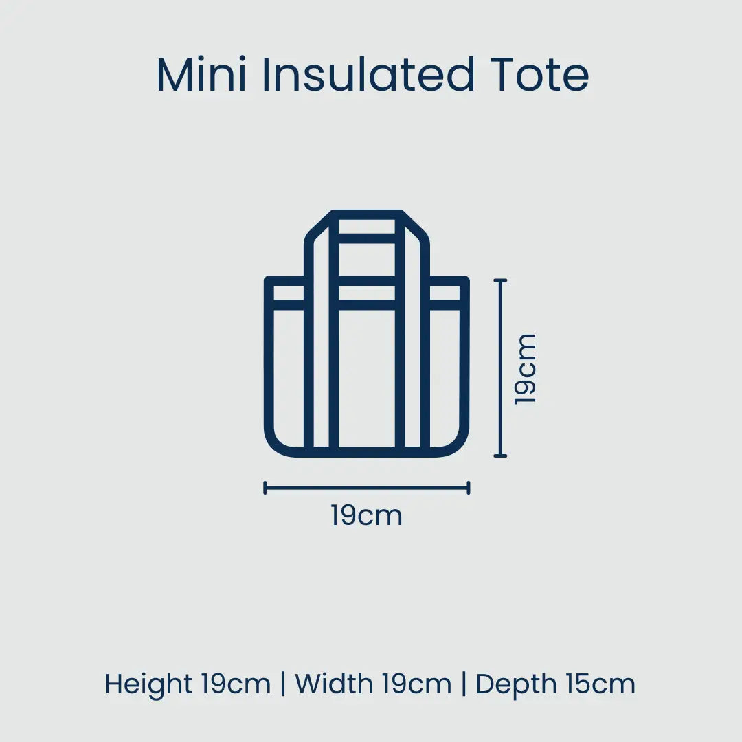 PROJECT TEN - "Blue Stripe" Mini (Upright) Insulated Tote/Lunch Bag
