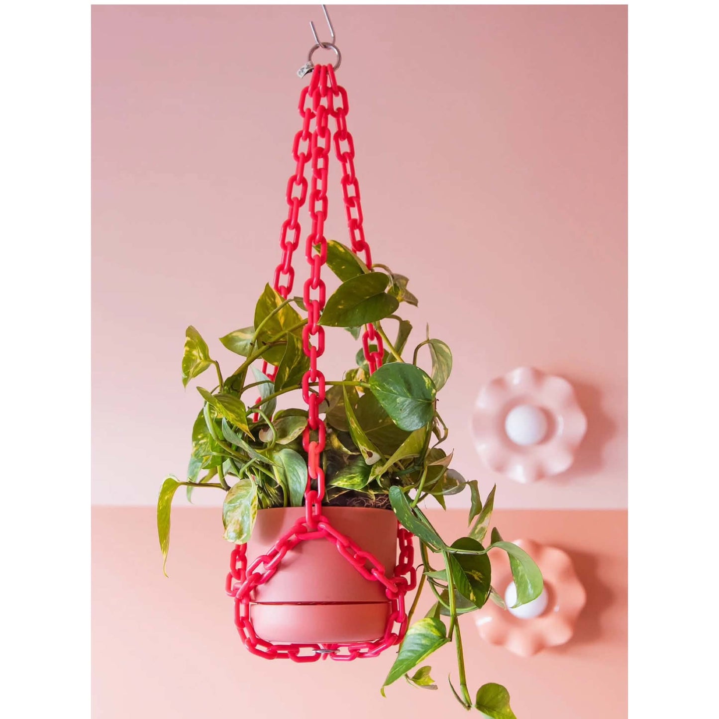 WOLJAM - Raspberry Plant Chain