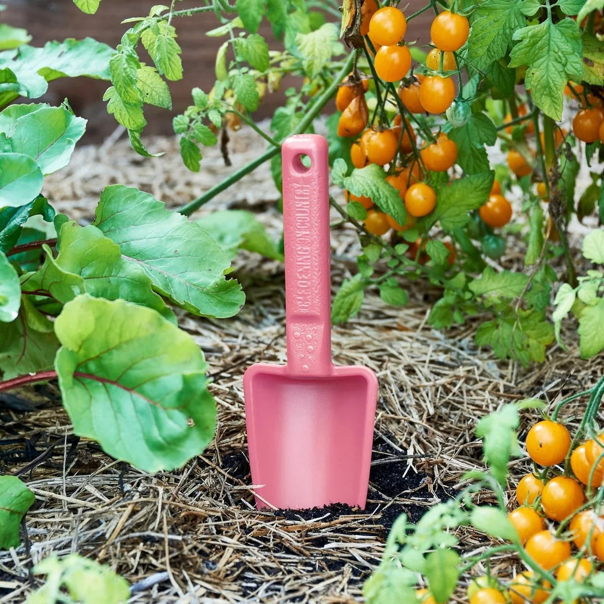 GARDENING ON COUNTRY - Womby Hand Trowel  Bumbunga Pink — Recycled Plastic, Australian Made