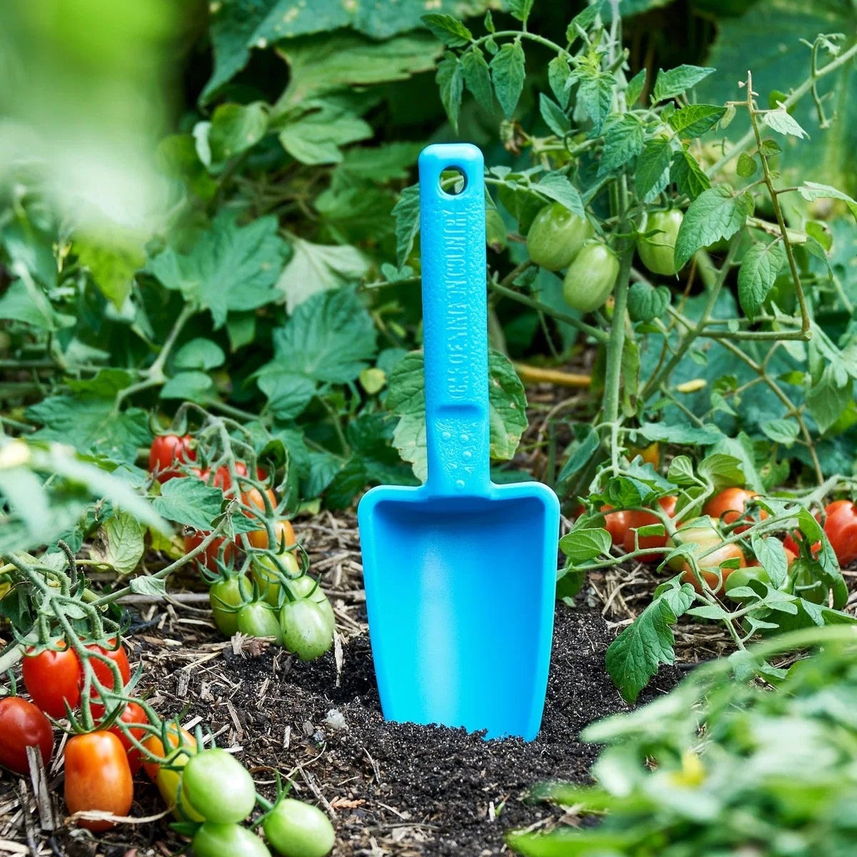 GARDENING ON COUNTRY - Womby Hand Trowel  Bumbunga Pink — Recycled Plastic, Australian Made