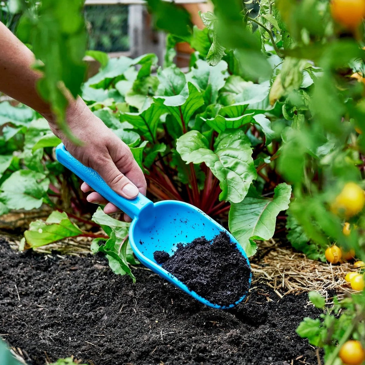GARDENING ON COUNTRY - Peli Scoop Ulysses Blue — Recycled Plastic, Australian Made
