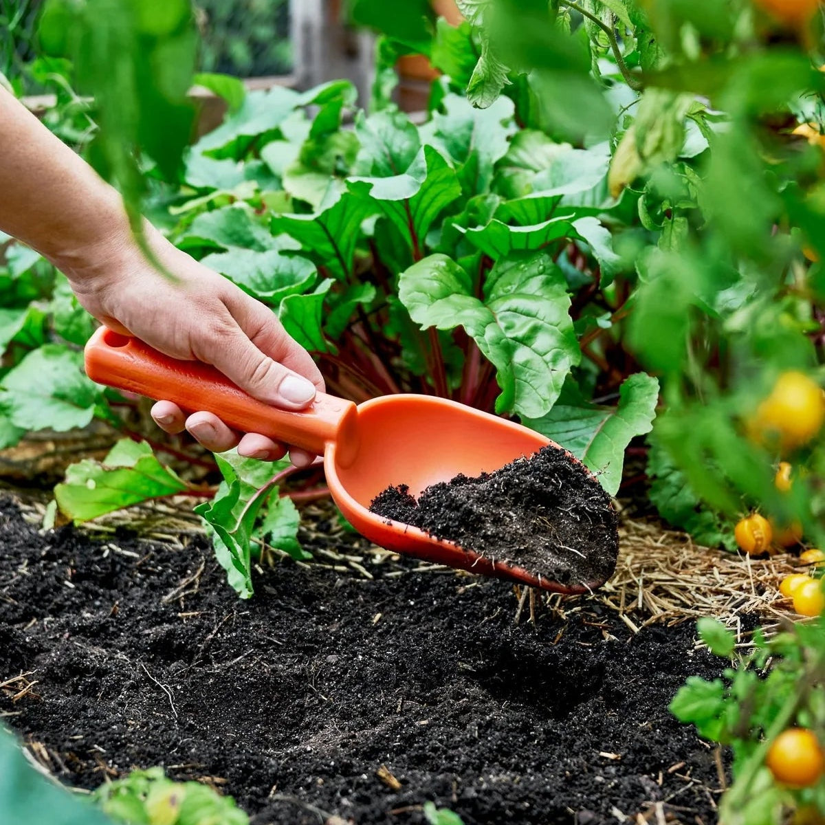 GARDENING ON COUNTRY - Peli Scoop Ulysses Blue — Recycled Plastic, Australian Made
