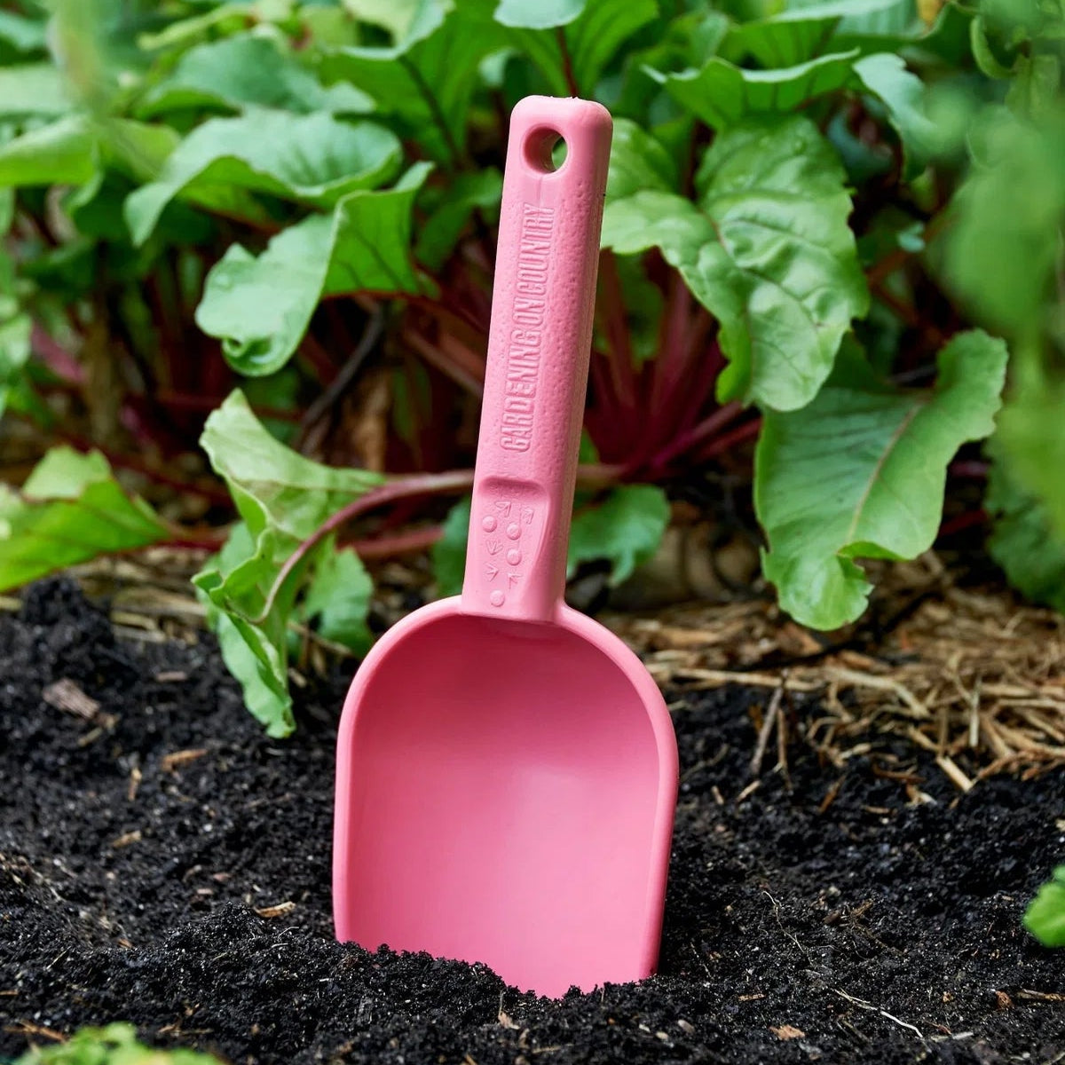 GARDENING ON COUNTRY - Peli Scoop Ulysses Blue — Recycled Plastic, Australian Made