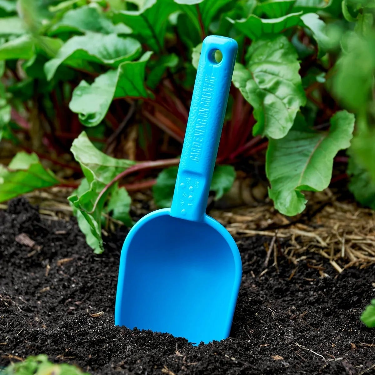 GARDENING ON COUNTRY - Peli Scoop Ulysses Blue — Recycled Plastic, Australian Made