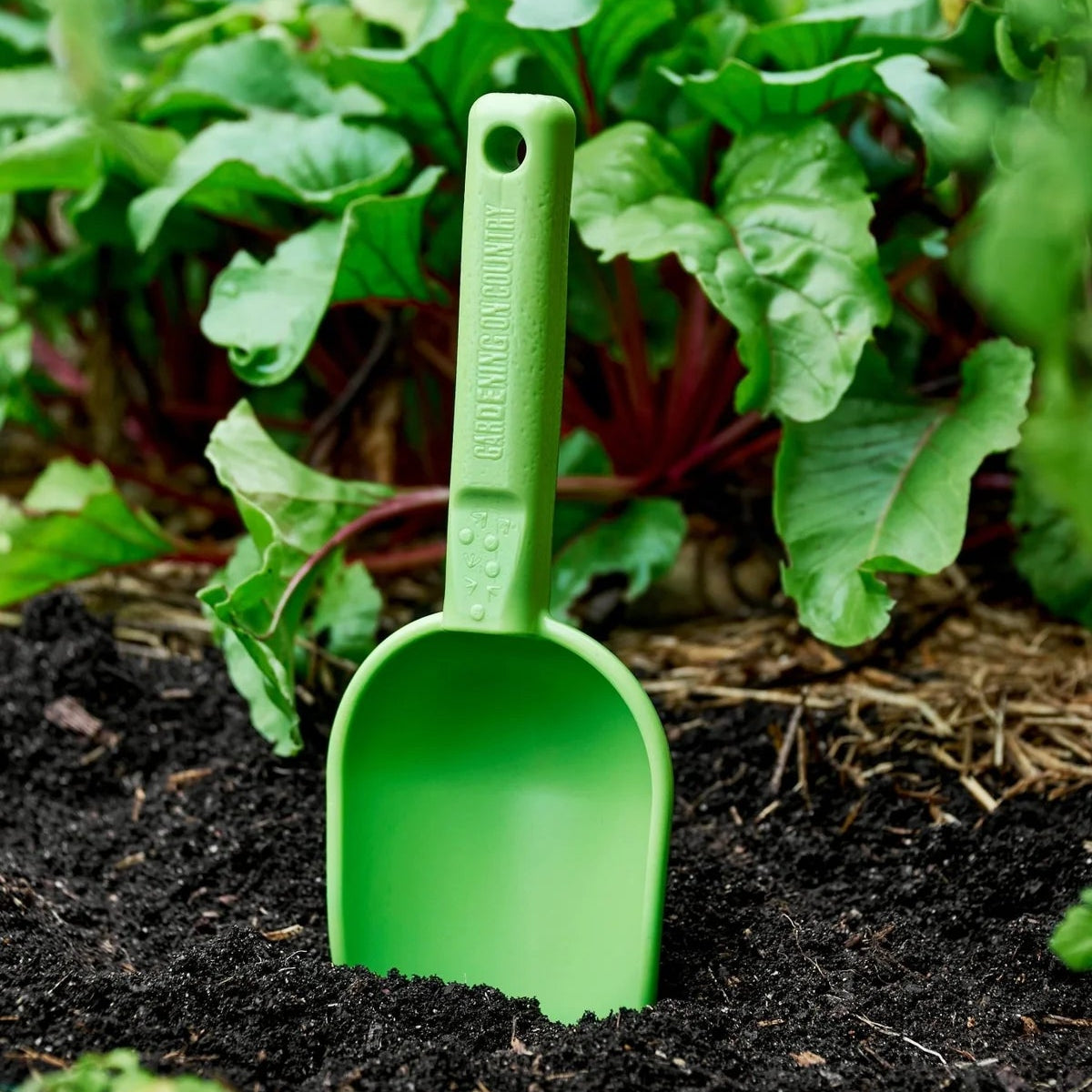 GARDENING ON COUNTRY - Peli Scoop Ulysses Blue — Recycled Plastic, Australian Made