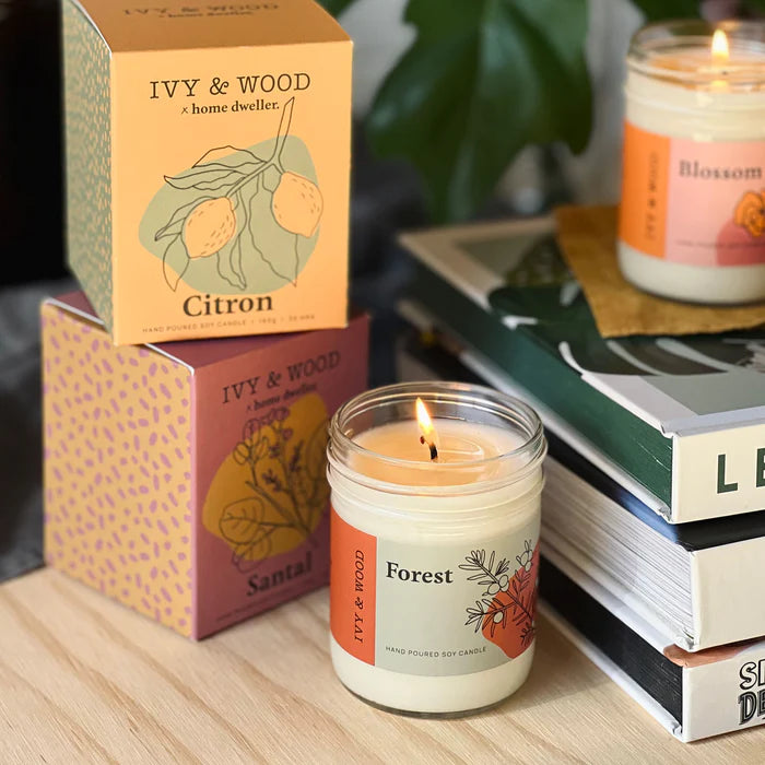 IVY & WOOD - Citron Scented Candle 'Homebody' Collection