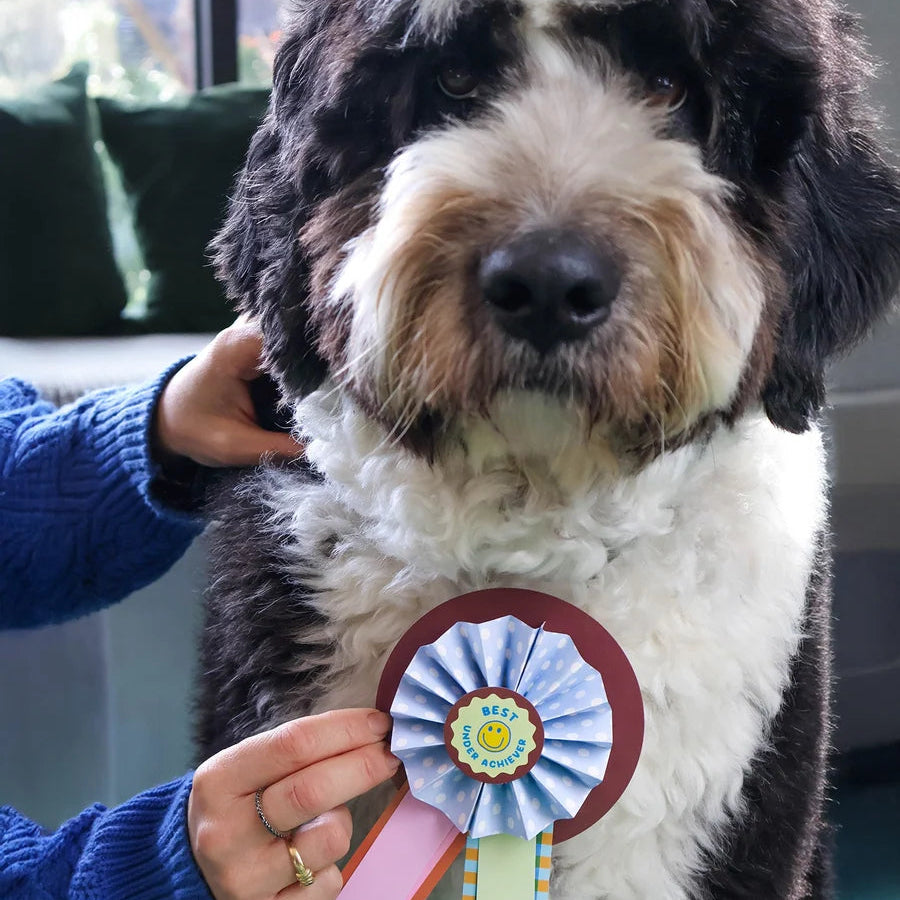 JOURNEY OF SOMETHING- MAKE YOUR OWN PAPER ROSETTES