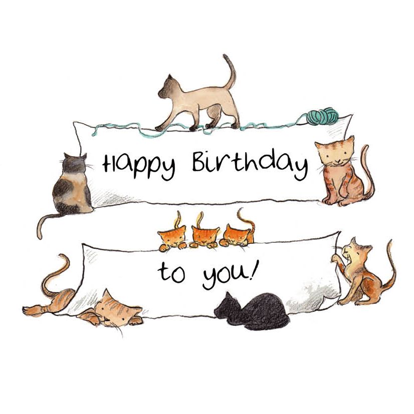 NUOVO - BIRTHDAY CATS SQUARE GREETING CARD