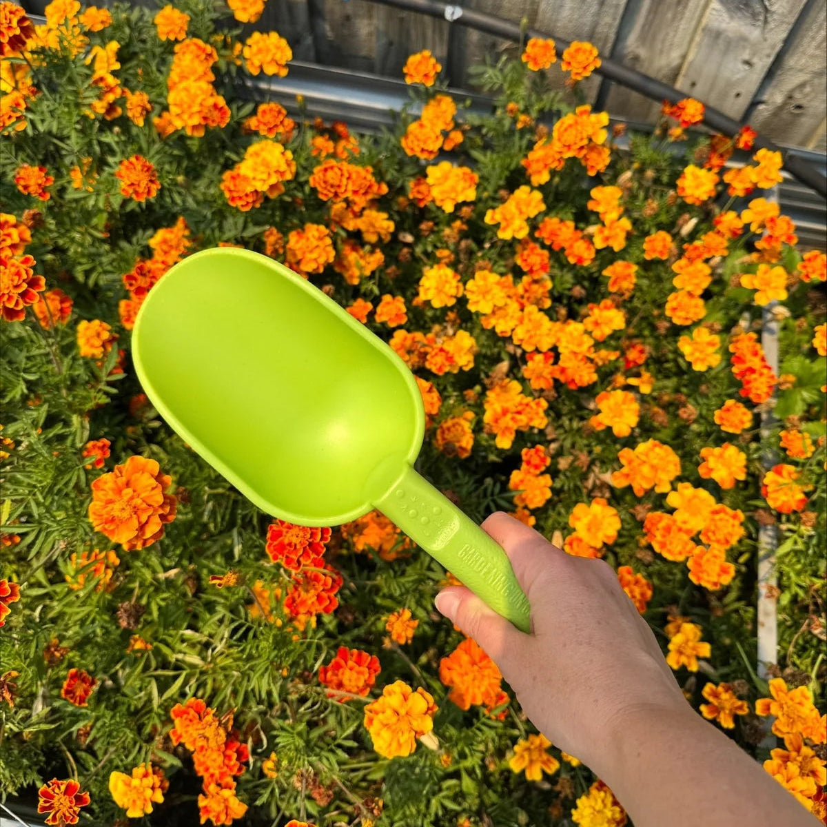 GARDENING ON COUNTRY - Peli Scoop Ulysses Blue — Recycled Plastic, Australian Made