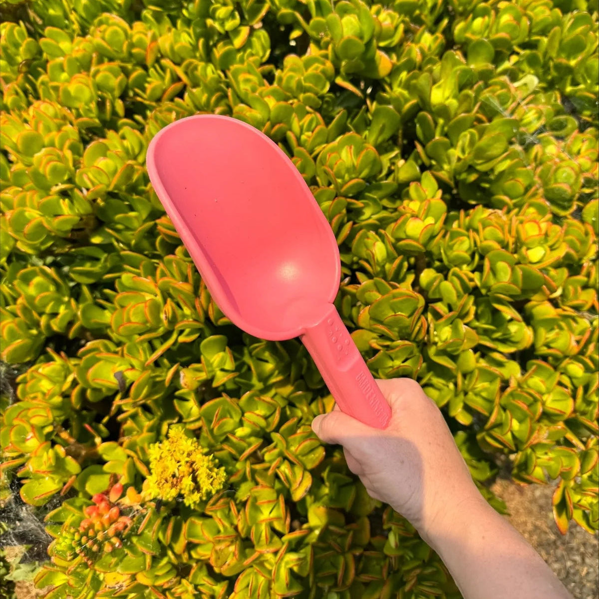 GARDENING ON COUNTRY - Peli Scoop Ulysses Blue — Recycled Plastic, Australian Made