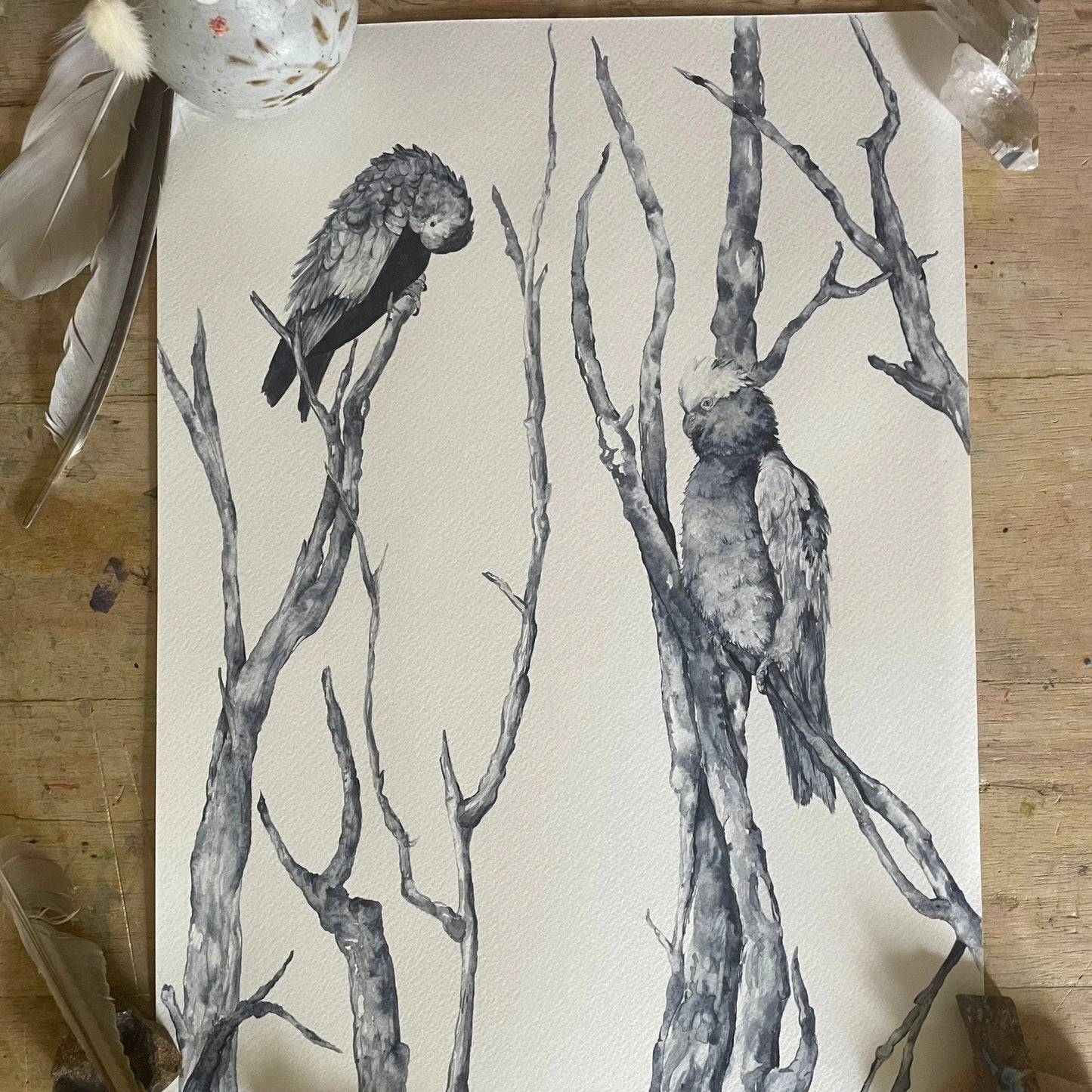 Shanna Trees Creations- "Monochrome Galahs" A4 Art Print