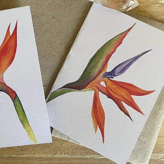 Shanna Trees Creations- Bird of Paradise Mini Greeting Card