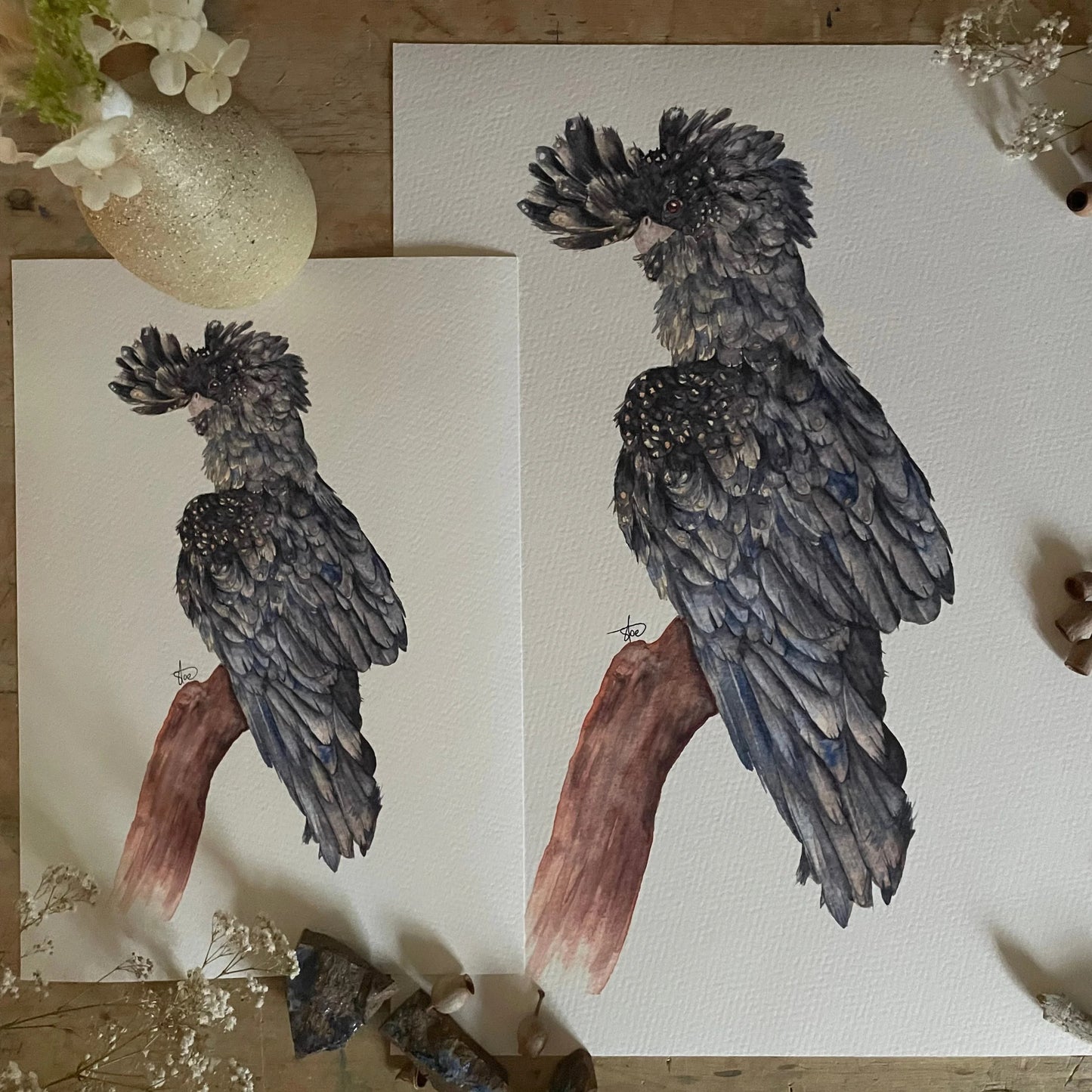 Shanna Trees Creations- "Black Cockatoo" A4 Art Print
