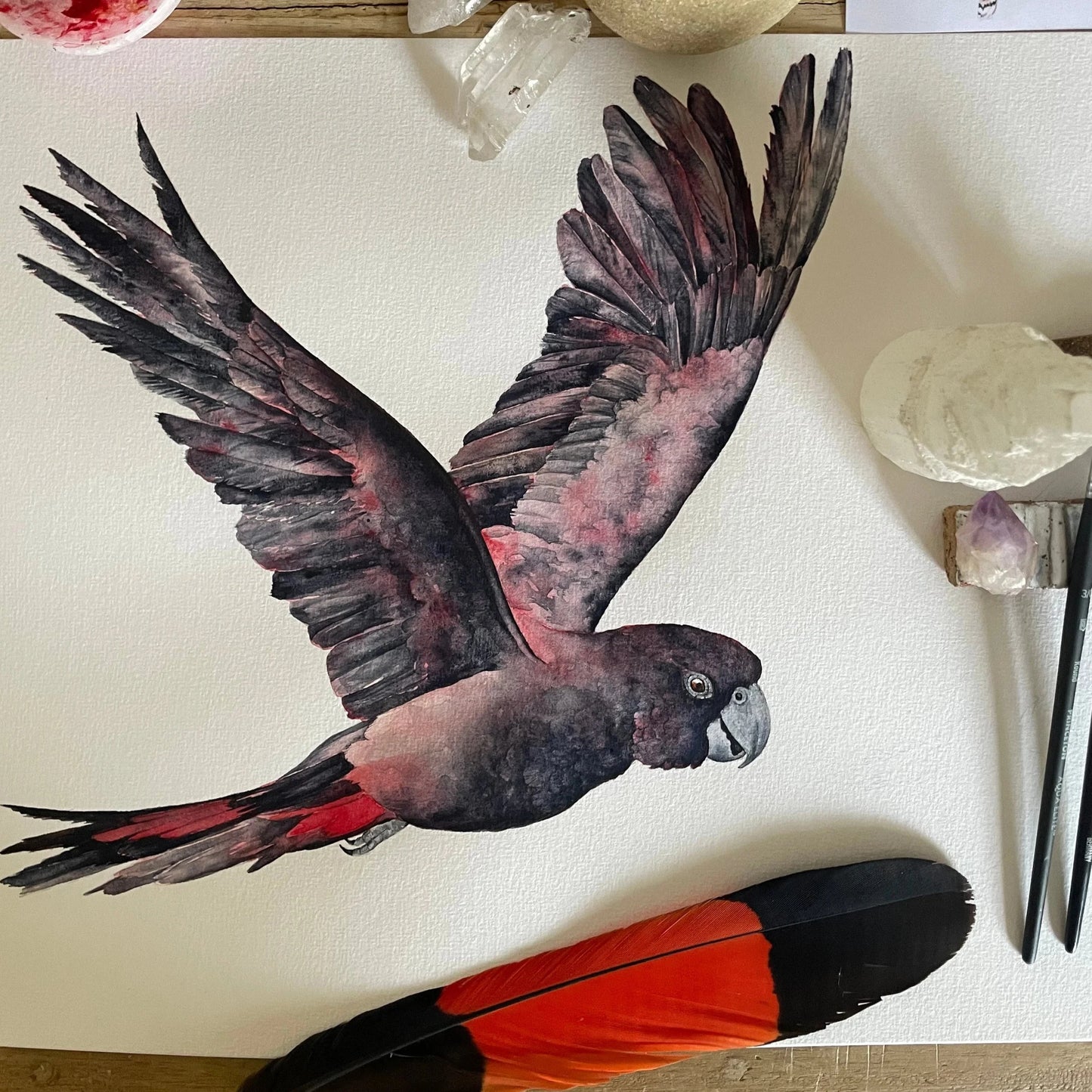 Shanna Trees Creations- "Black Cockatoo" A4 Art Print