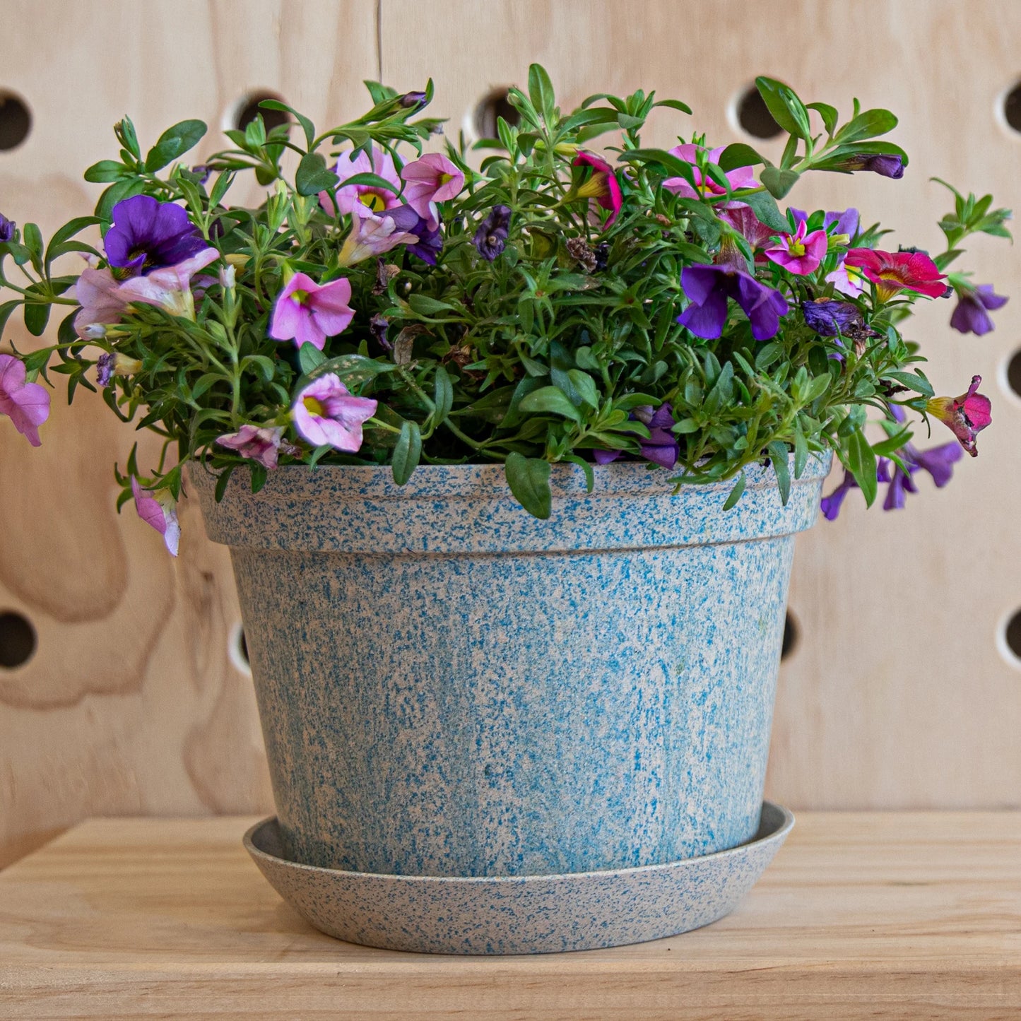 WOLJAM - Sky - Sunday Series Plant Pot