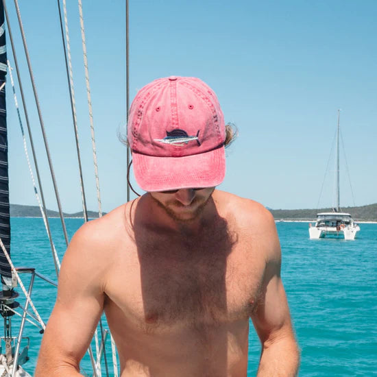 PALLION POINT - FISH LIDS - Sailfish