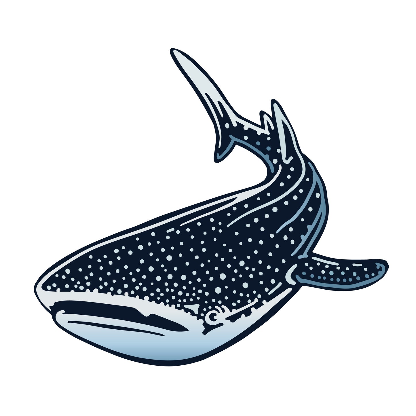 MAKIN' WHOOPEE- Whale Shark Vinyl Sticker