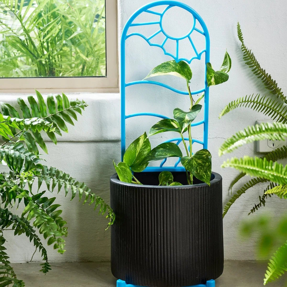 GARDENING ON COUNTRY - Wonga Garden Trellis Multicoloured— Recycled Plastic, Australian Made