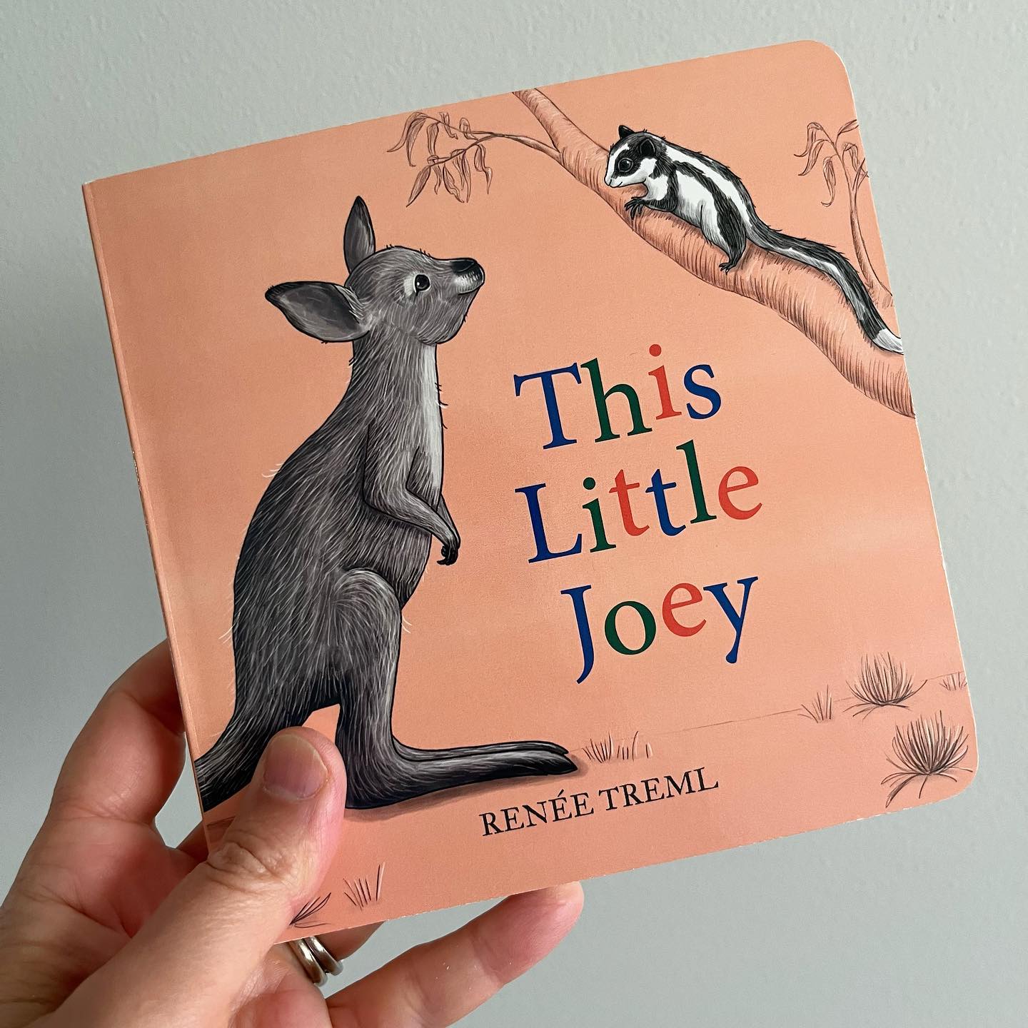 BOOKS & CO - RENEE TREML - This Little Joey - Small Board Book