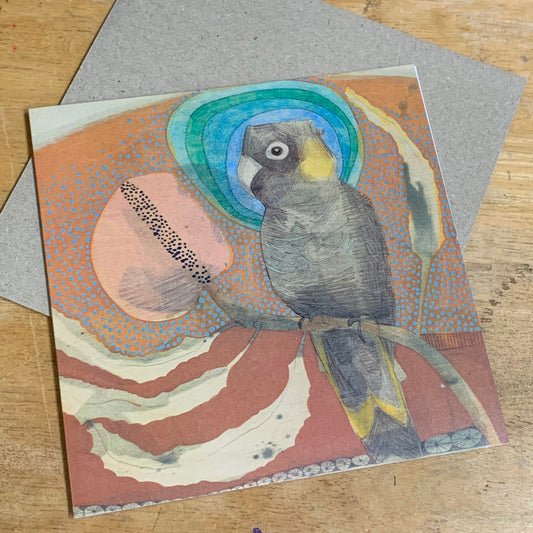 DANA KINTER - Yellow-Tailed Black Cockatoo + Banksia Blank Greeting Card