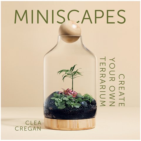 BOOKS & CO - Miniscapes: Create Your Own Terrarium