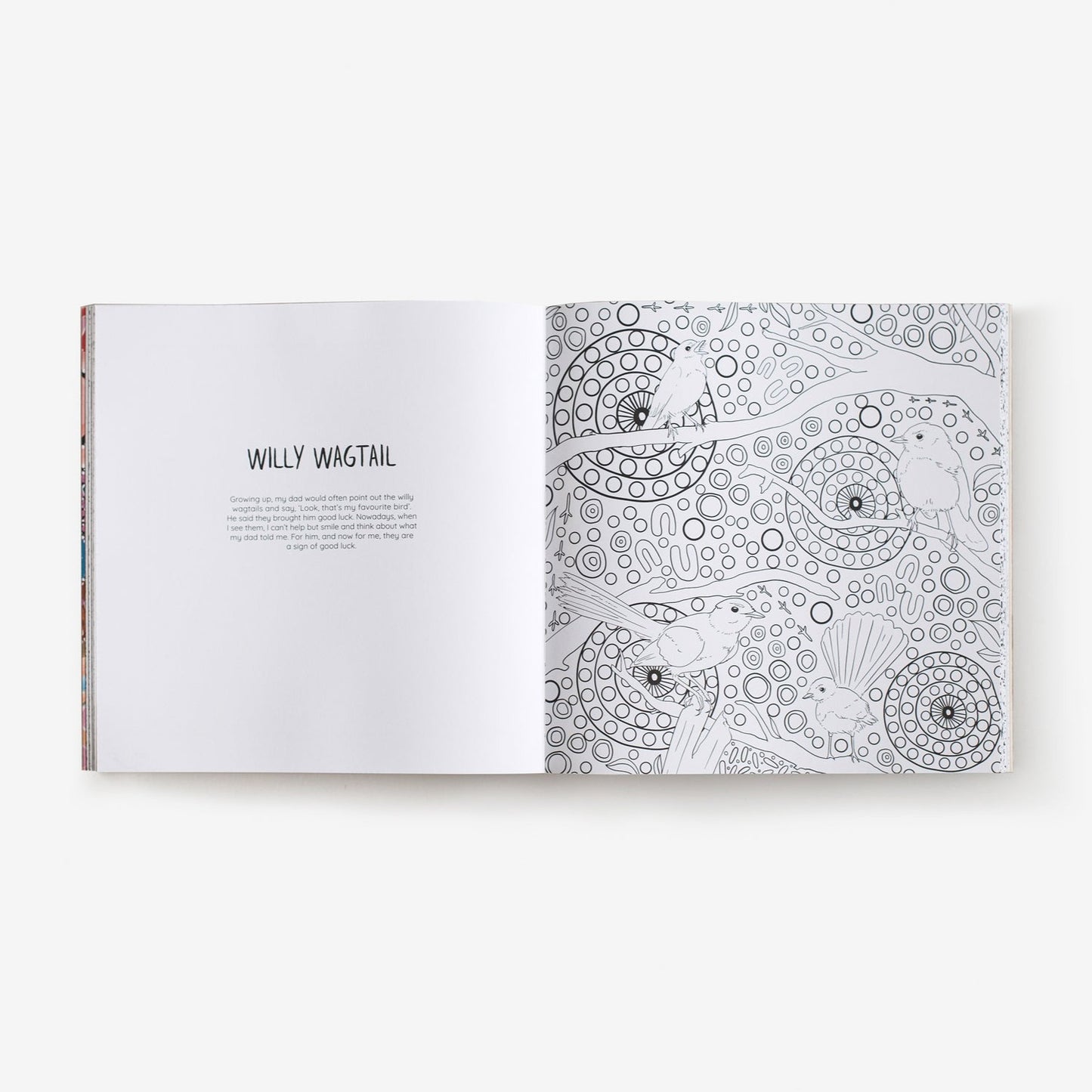 BOOKS & CO - Mulganai: A First Nations Colouring Book By Emma Hollingsworth