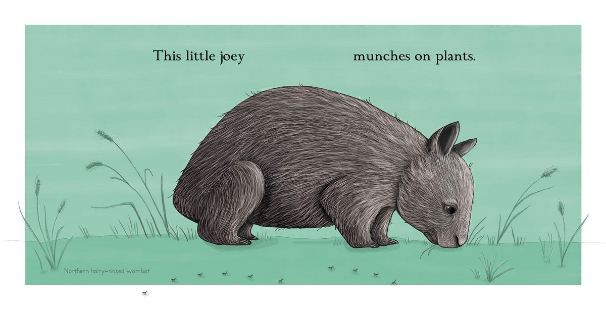 BOOKS & CO - RENEE TREML - This Little Joey - Small Board Book