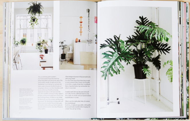 BOOKS & CO - INDOOR GREEN: LIVING WITH PLANTS