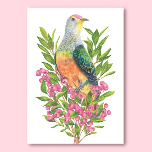 KAYLA REAY- A4 Linen Art Print- Rose Crowned Fruit Dove