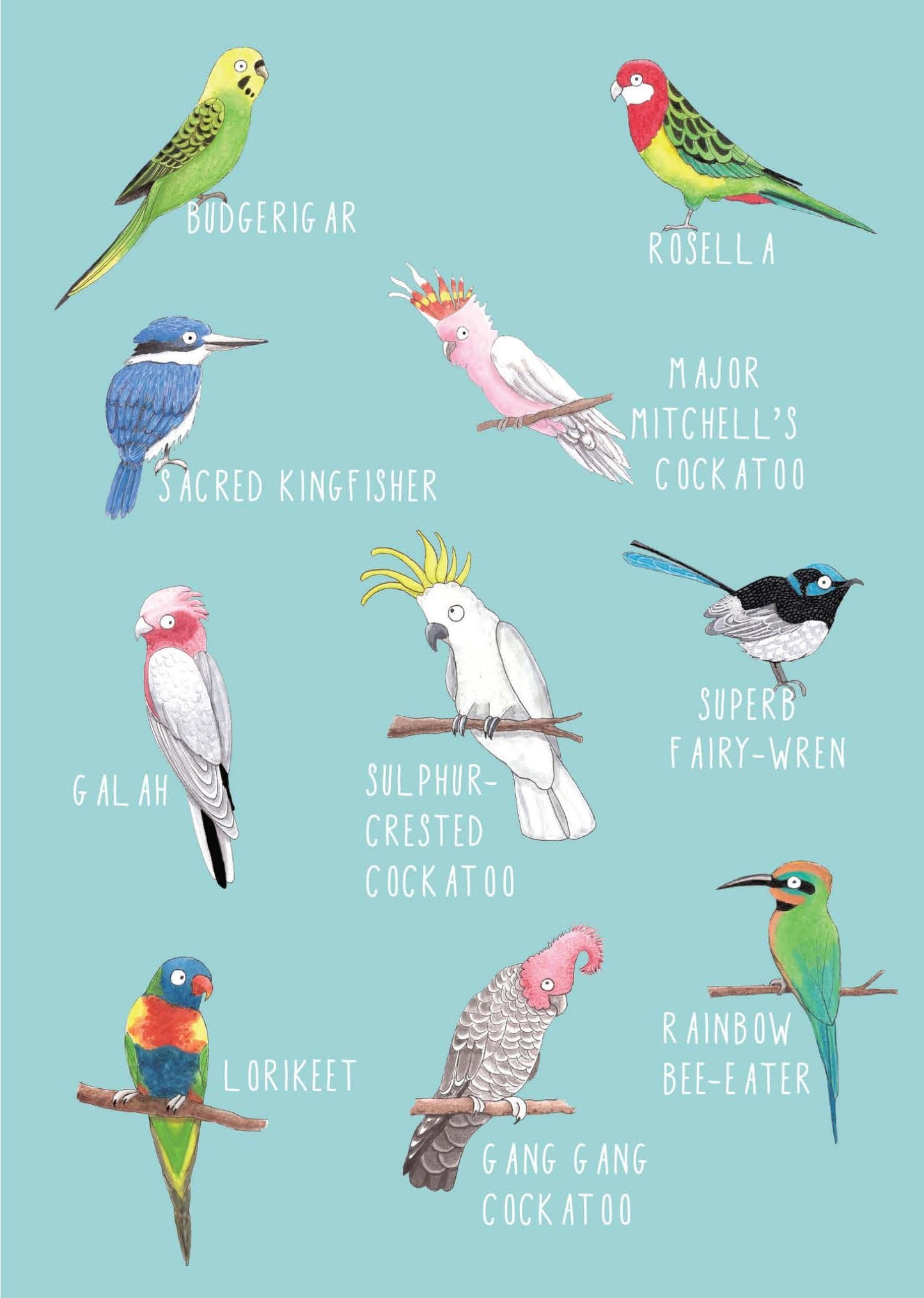 NUOVO - TANIA McCARTNEY "AUSTRALIAN BIRDS" GREETING CARD
